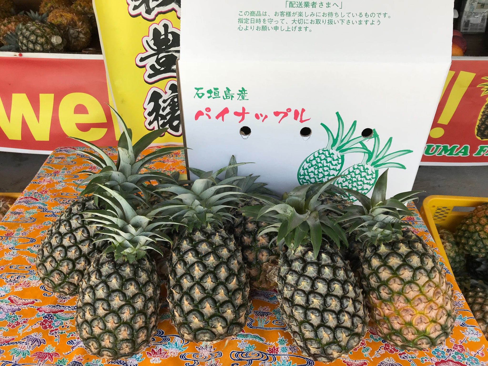 パイン詰め合わせ | 石垣島伊原間農園